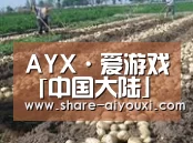 种植基地八
