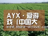 种植基地五