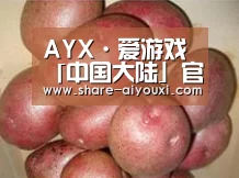 产品展示标题1