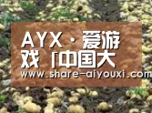 种植基地八(图1)